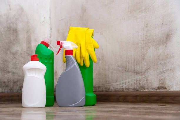 Mold Remediation for Rental Properties in Lakeland South, WA