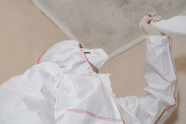 Best Black Mold Removal  in Lakeland South, WA