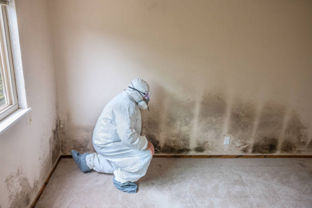 Best Residential Mold Inspection & Testing  in Lakeland South, WA